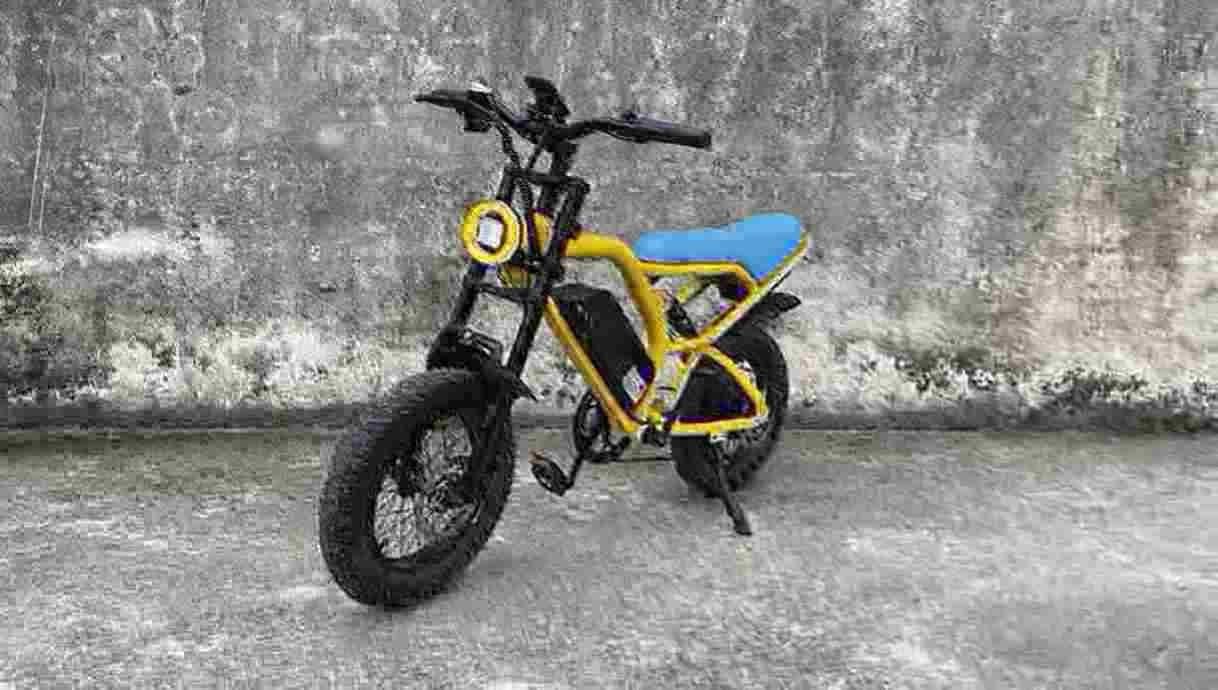 Usine de vélos tout-terrain électriques 2024 Usine de vélos tout-terrain électriques 2024