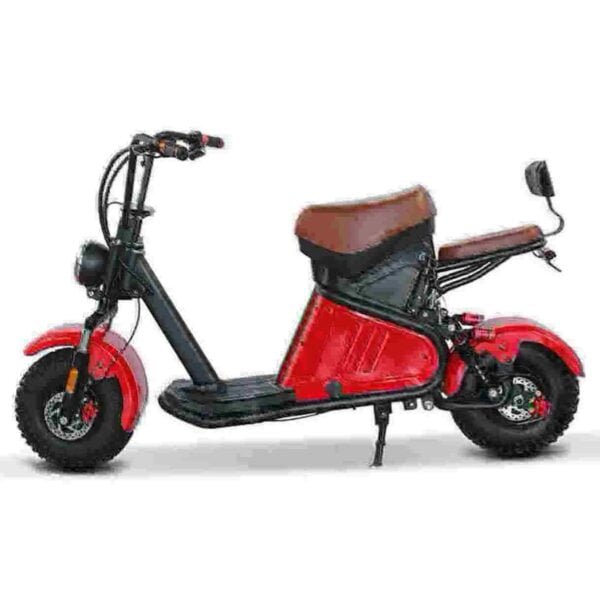 Usine Citycoco 3000w