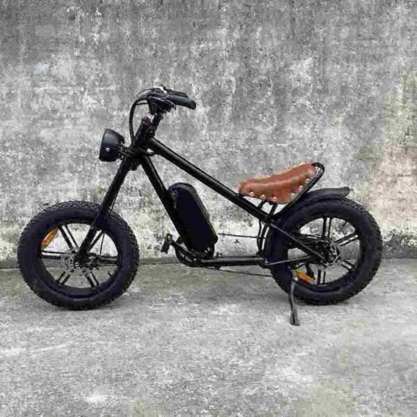 Usine de vélos électriques à 60 mph
