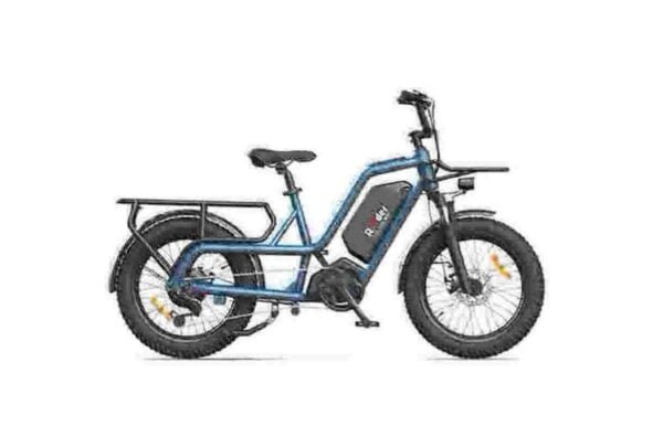 Usine de vélos électriques 750w