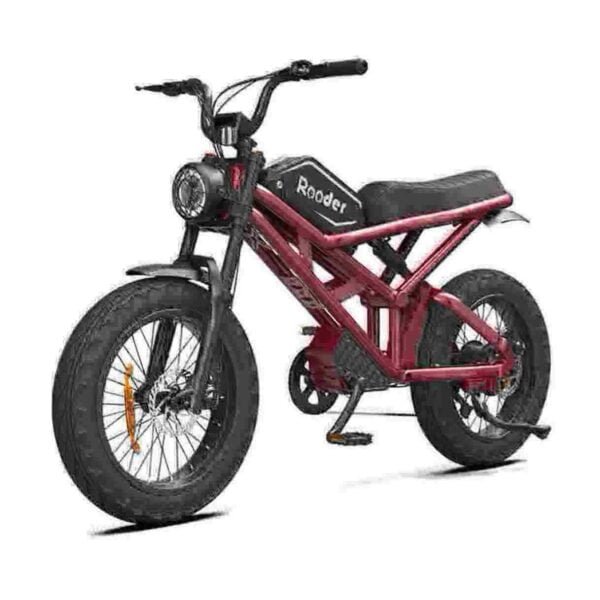 Usine de vélos électriques pliants pour adultes