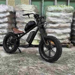 Meilleure usine de vélos pliants E