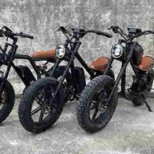 Meilleure usine de Fat Ebikes