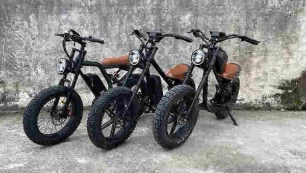 Meilleure usine de Fat Ebikes
