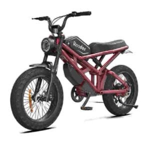 Meilleure usine Fat Tire Ebike Canada