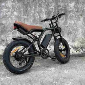 Usine électrique pliante de vélo