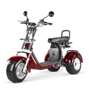 Citycoco Scooter 2000w usine