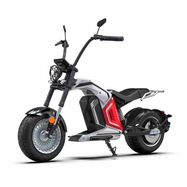 Citycoco scooter électrique hm8 3000w 40ah