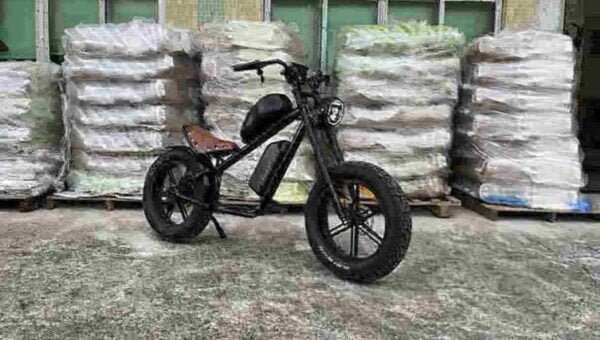 Bonne usine de vélos tout-terrain électriques