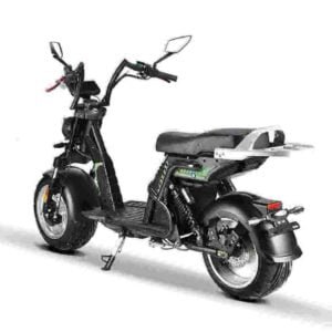 Rooder citycoco Usine de scooters électriques Citycoco