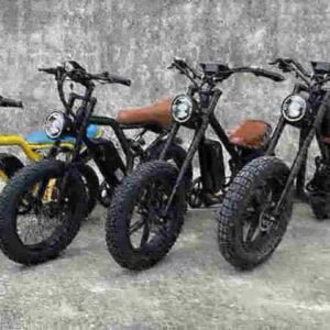 Usine de vélos électriques à deux roues Fat Tire