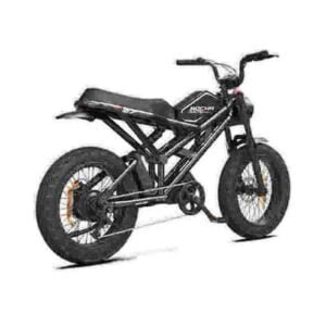Vélo électrique Fat Tire pour femmes usine en gros