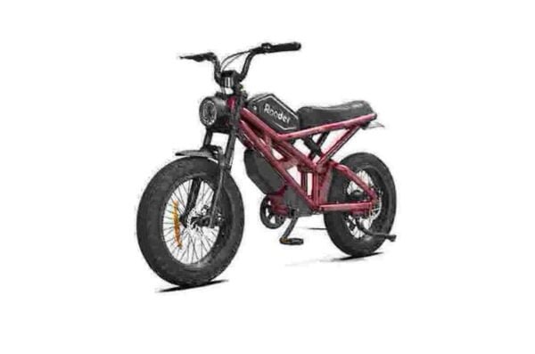 vélo tricycle électrique pour adultes usine